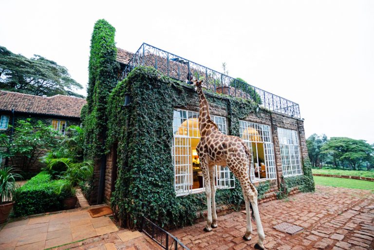 Giraffe Manor