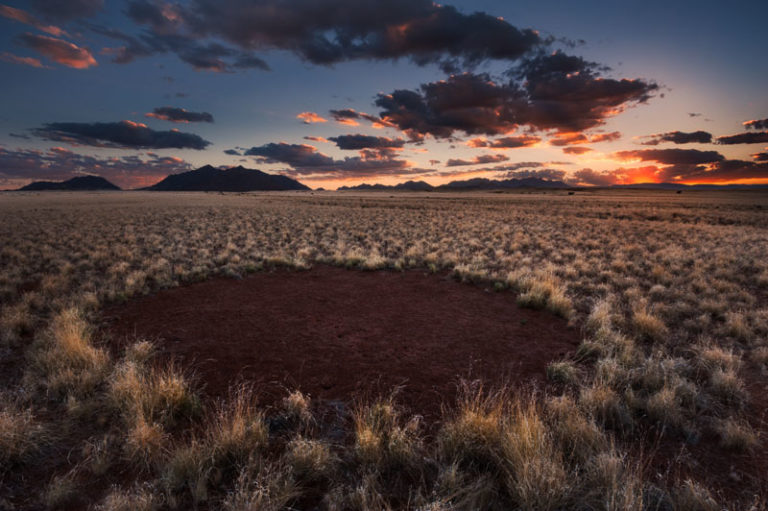 Feenkreise in Namibia