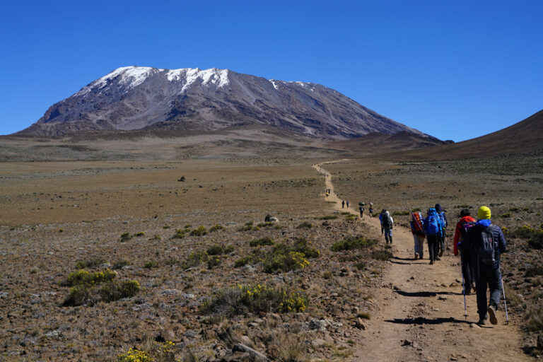 Wanderer auf dem Weg zum Kibo am Kilimanjaro in Tansania