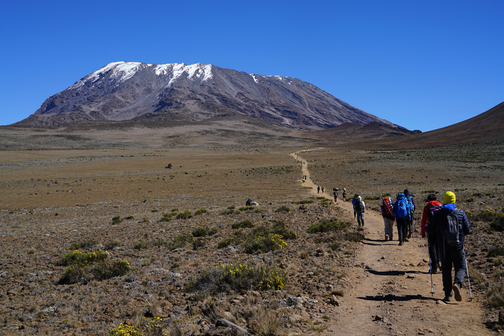 Wanderer auf dem Weg zum Kibo am Kilimanjaro in Tansania